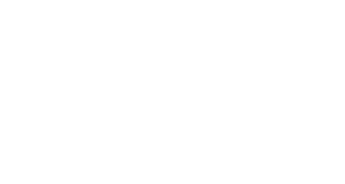 immagine che rappresenta le zampe di una gatto.
